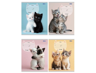 Тетрадь школьная А5, 12 л. на скобе «Милые парочки котиков» Тетрадь школьная А5, 12 л. на скобе «Милые парочки котиков»