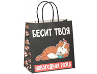 Пакет подарочный бумажный «Рожа»