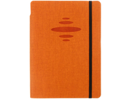 Ежедневник недатированный Berlingo Color Zone