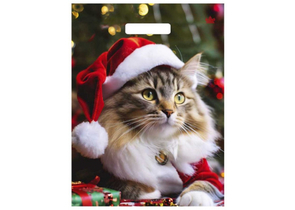 Пакет упаковочный «Тико-пластик» (30×40 см), 30×40 см, «Новогодний мур» Пакет упаковочный «Тико-пластик» (30×40 см), 30×40 см, «Новогодний мур»