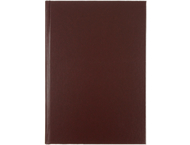 Ежедневник датированный на 2026 год Ideal New