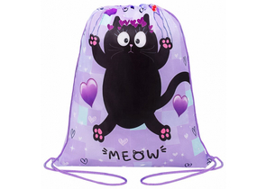 Мешок для обуви «Пифагор», 420×340 мм, Falling Cat