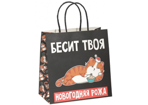 Пакет подарочный бумажный «Рожа», 22×22×11 см Пакет подарочный бумажный «Рожа», 22×22×11 см